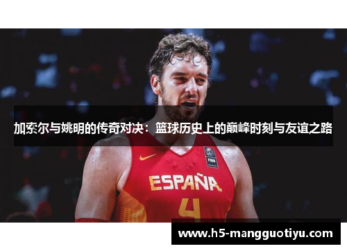 加索尔与姚明的传奇对决：篮球历史上的巅峰时刻与友谊之路