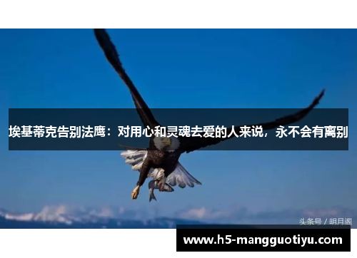 埃基蒂克告别法鹰：对用心和灵魂去爱的人来说，永不会有离别